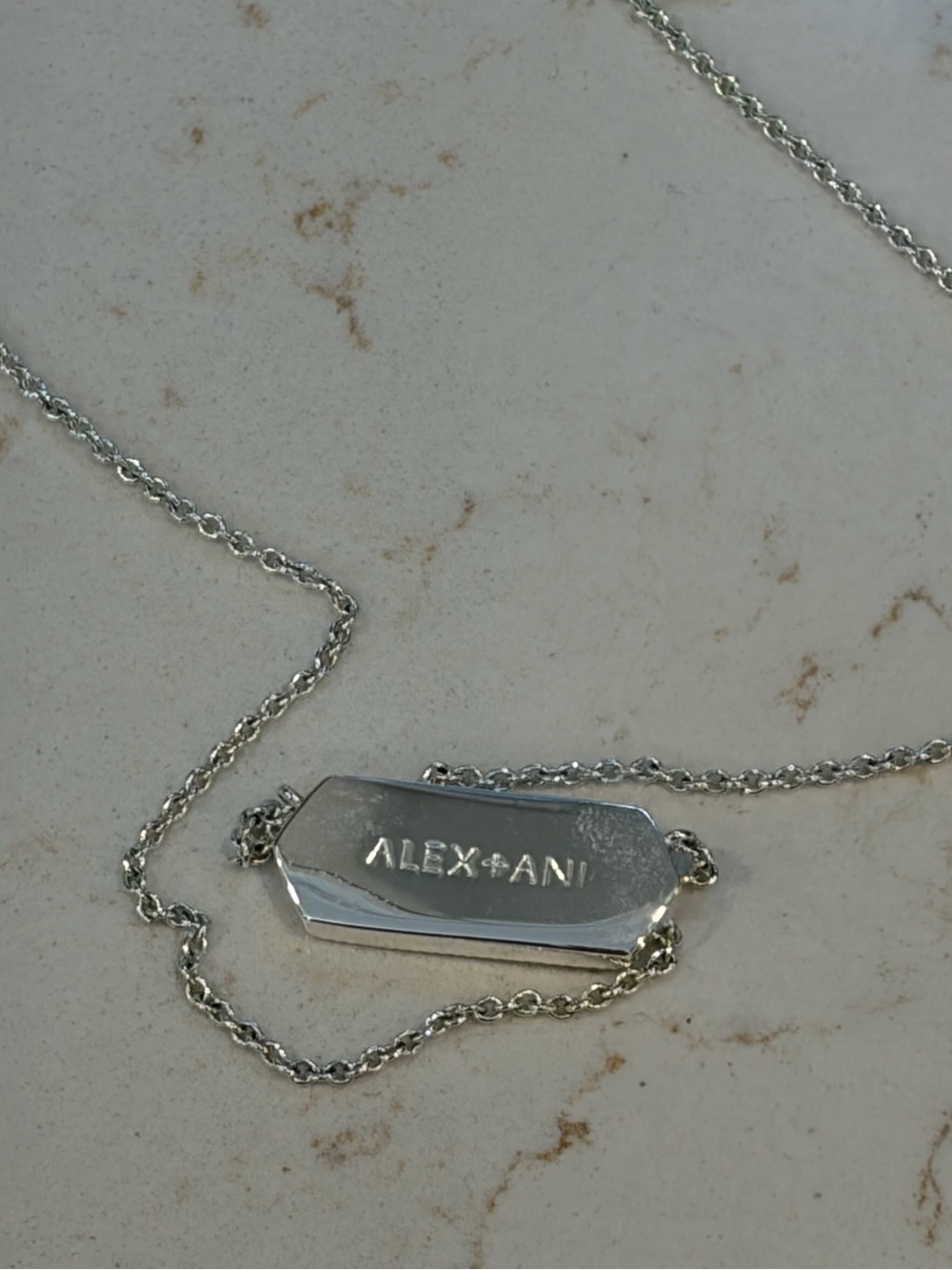 Alex and Ani Silver Druzy Bar Necklace - Picture 2 of 4